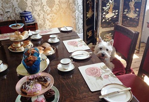 Glendevon Central Bed And Breakfast Edimburgo Esterno foto